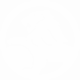 77953993912968599ff844df1c16df82